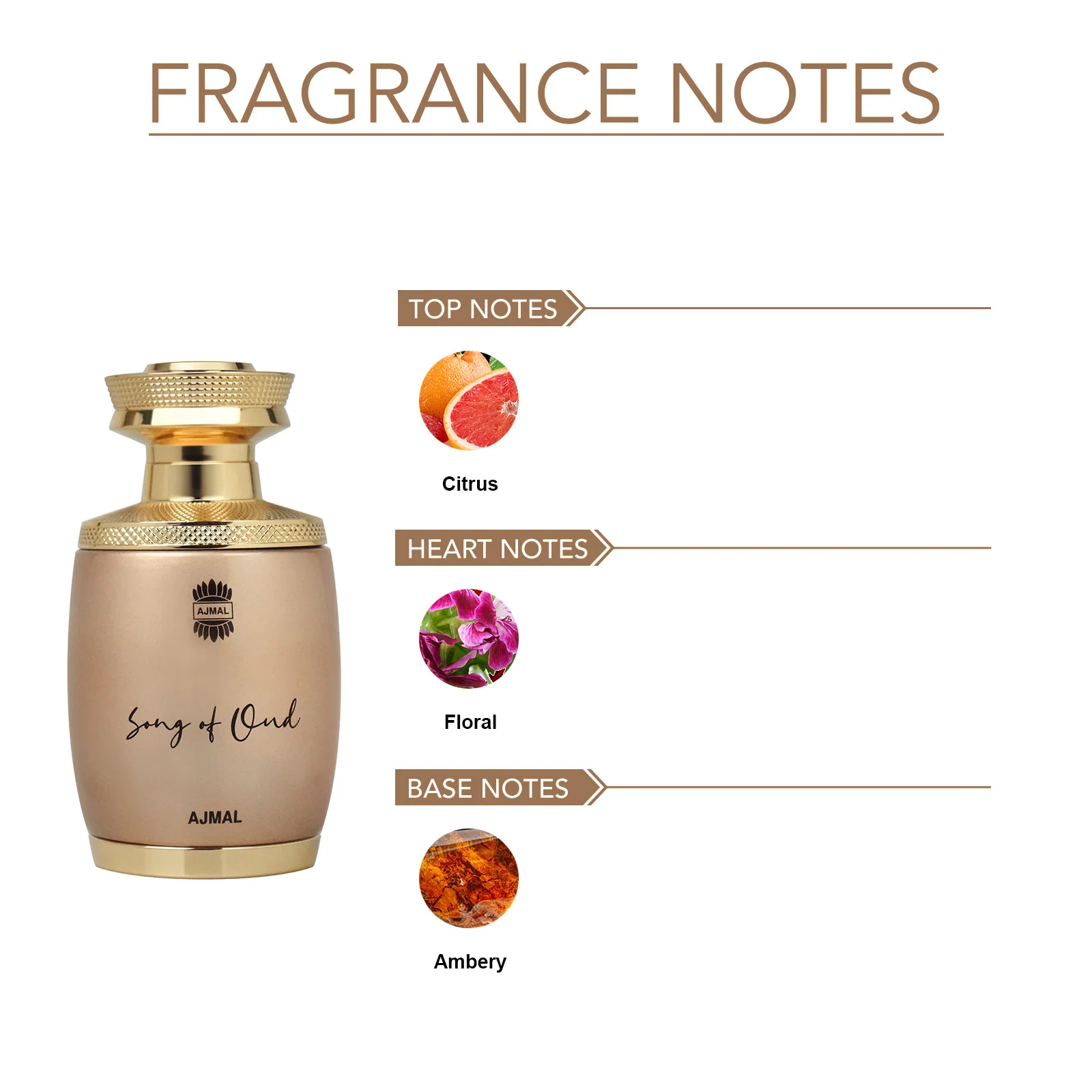 SONG OF OUD Perfume 75ML for Men & Women - Image 5