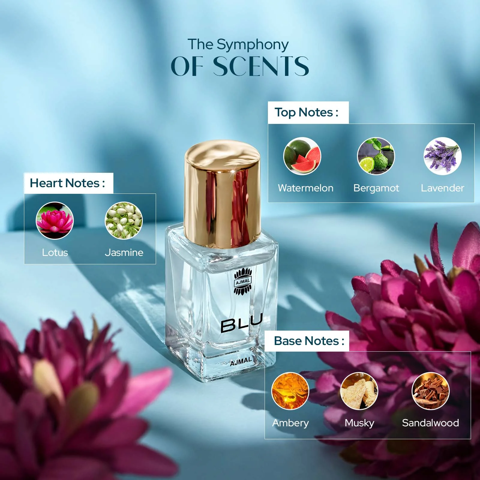 BLU - Image 10