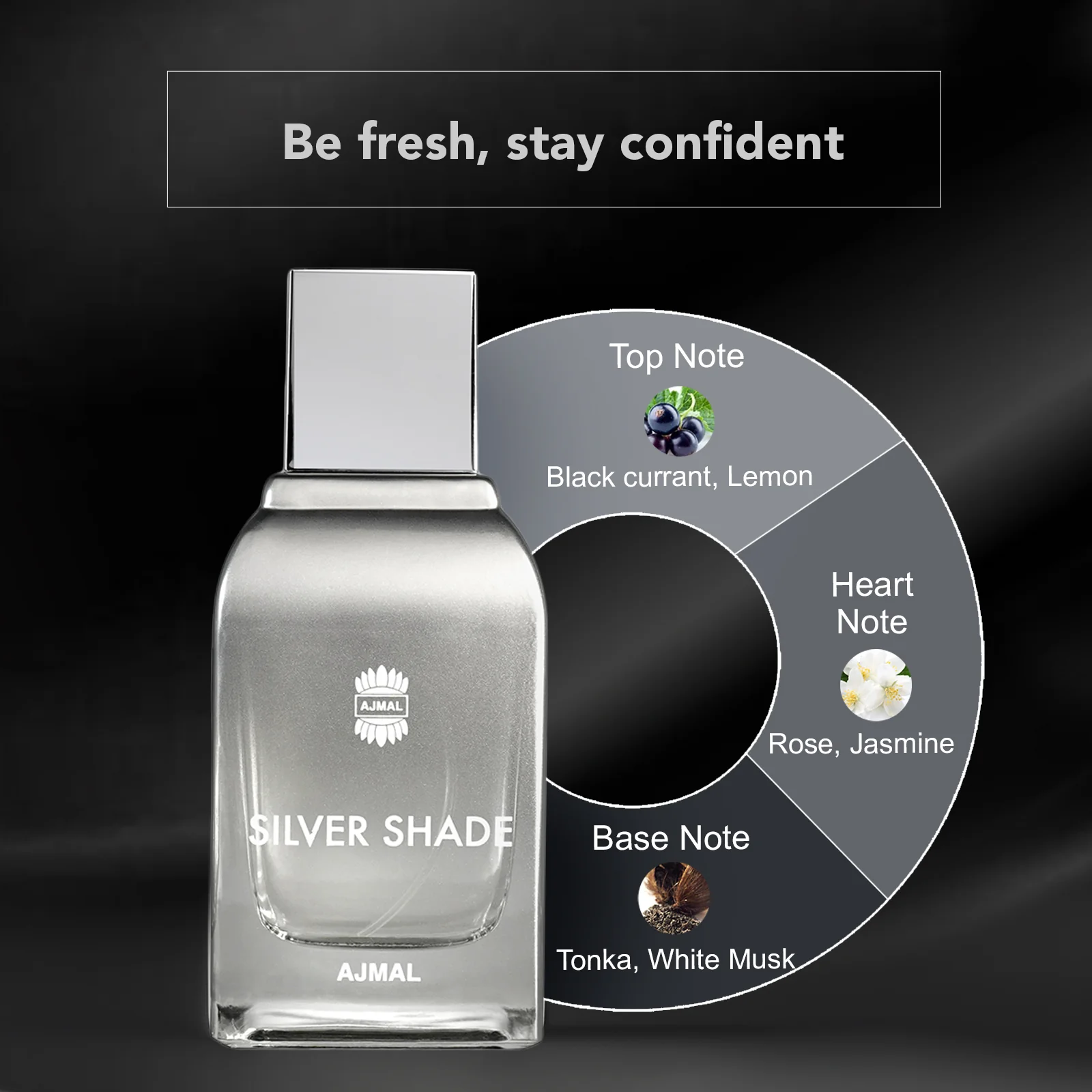 SILVER SHADE Perfume 100ML for Men - Image 4